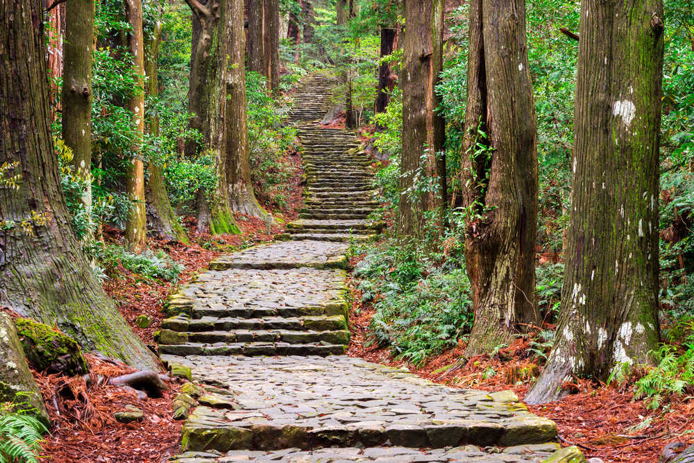 Kumano Kodo sentier