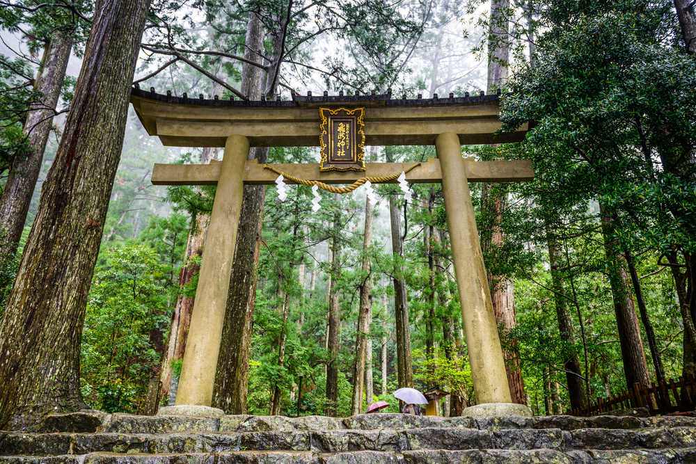 Kumano Kodo tori