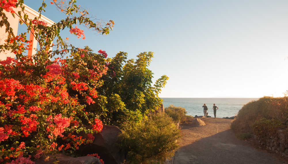La  côte à la Gomera