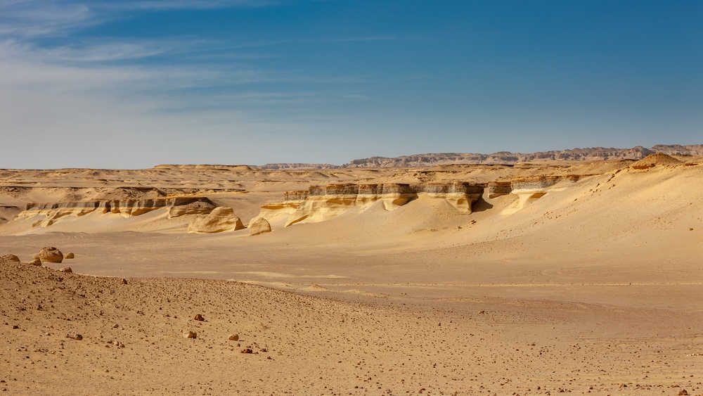 La vallée des baleines en Egypte