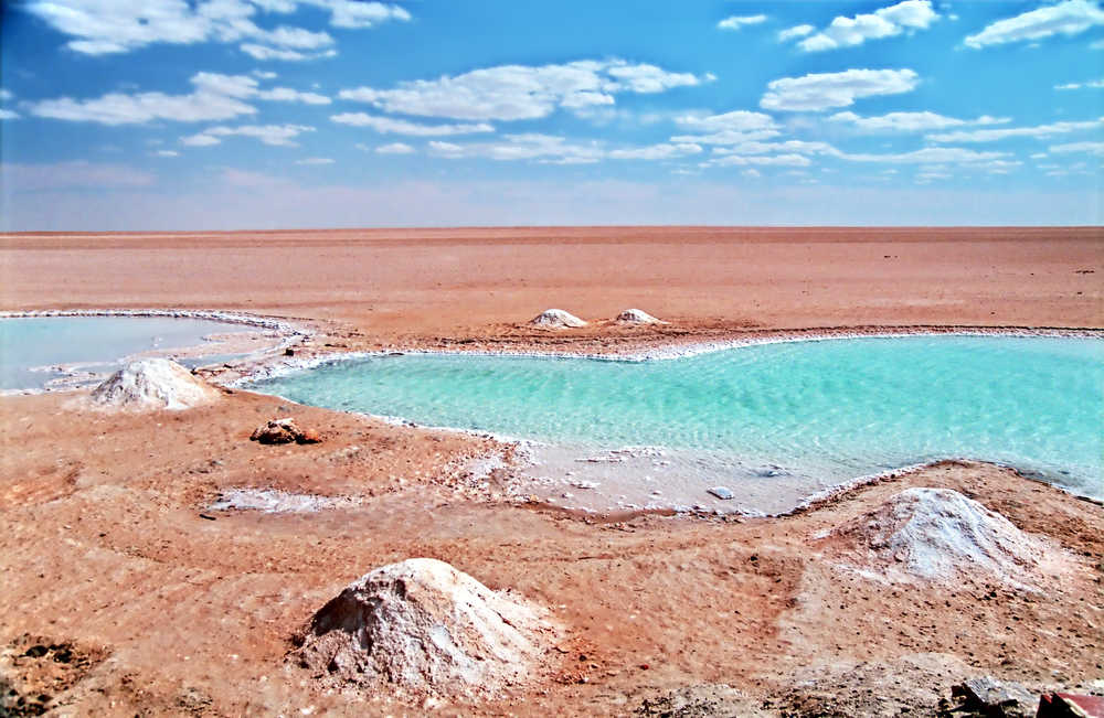 lac-sale-chott-el-jerid