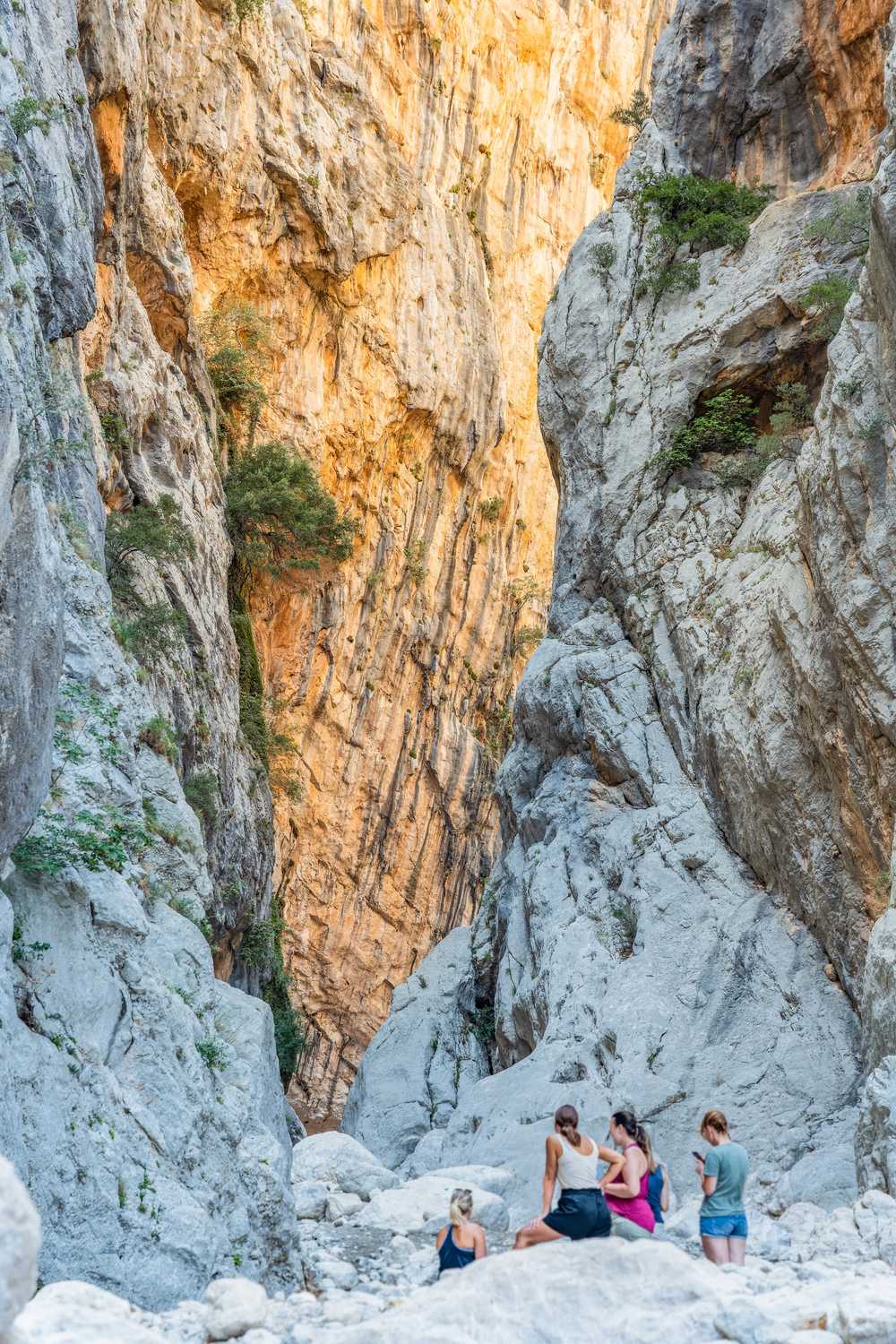 Le canyon le plus profond d'Europe, situé dans la région de Supramonte en Sardaigne Italie
