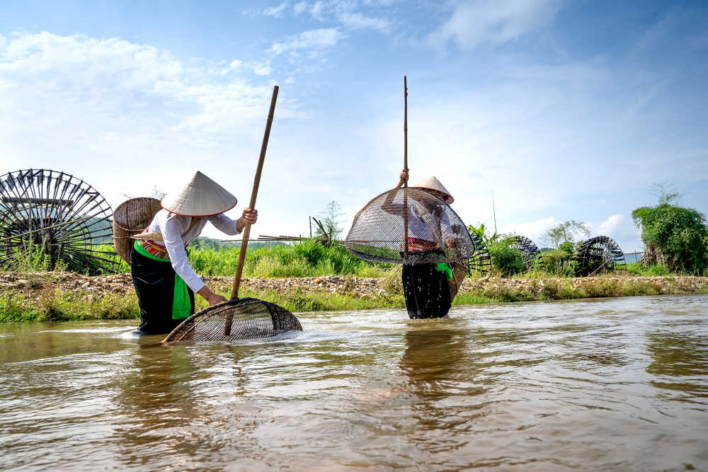 Les femmes vietnamiennes pêchent dans les cours d'eau