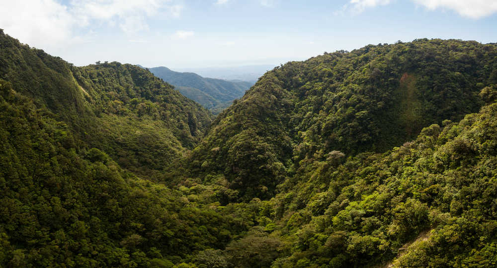 Les montagnes de Monteverde Costa Rica
