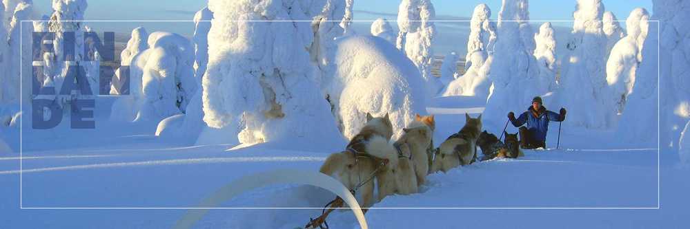 les plus belles destinations pour faire du chien de traineau Finlande