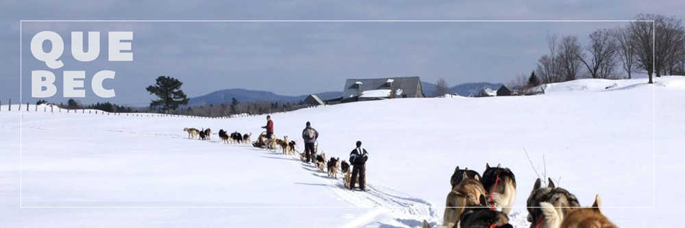 les plus belles destinations pour faire du chien de traineau Quebec