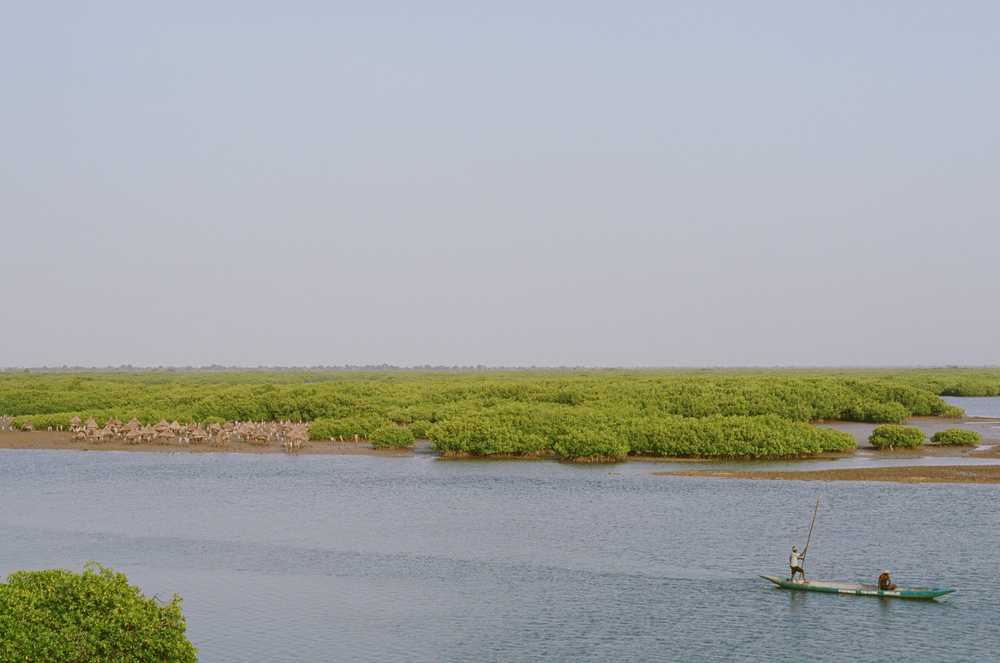 local-sur-une-barque-dans-le-sine-saloum