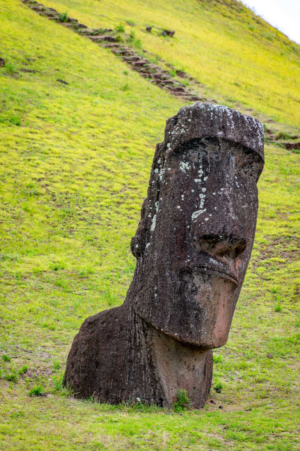 Maoï Rano Raraku à Rapa Nui sur l'île de Pâques