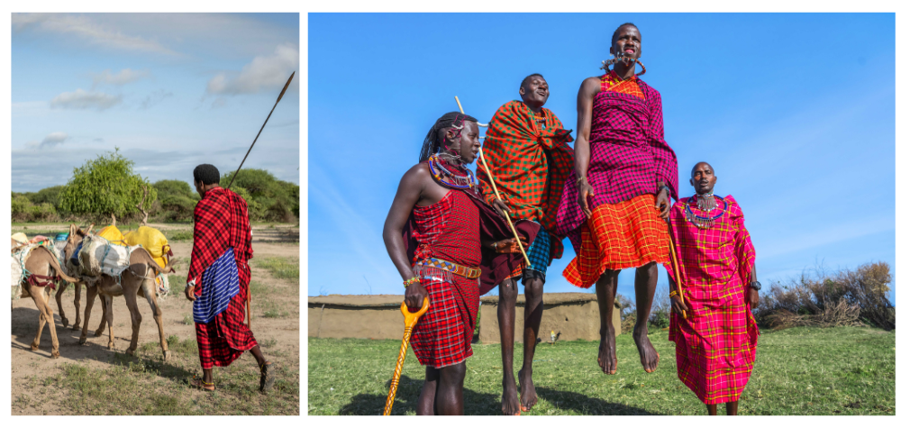 Masai avec son bétail et Masais qui dansent BLOG
