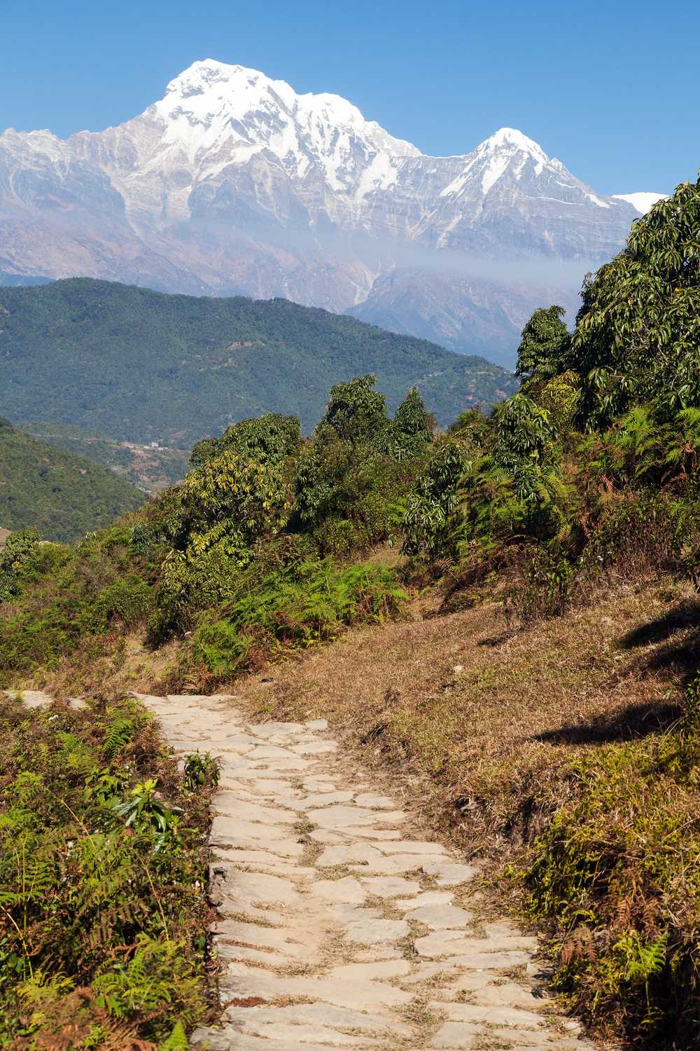 Mont Annapurna sud et sentier de pierre, Népal