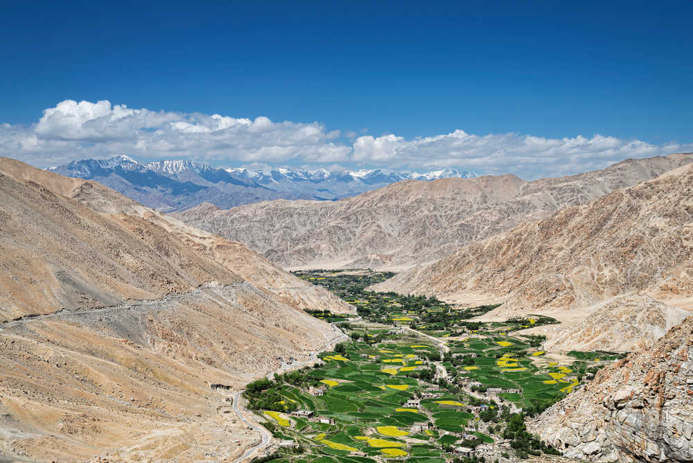 Oasis au Ladakh Inde