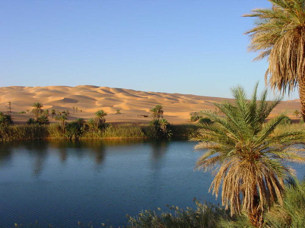 oasis-de-fayoum