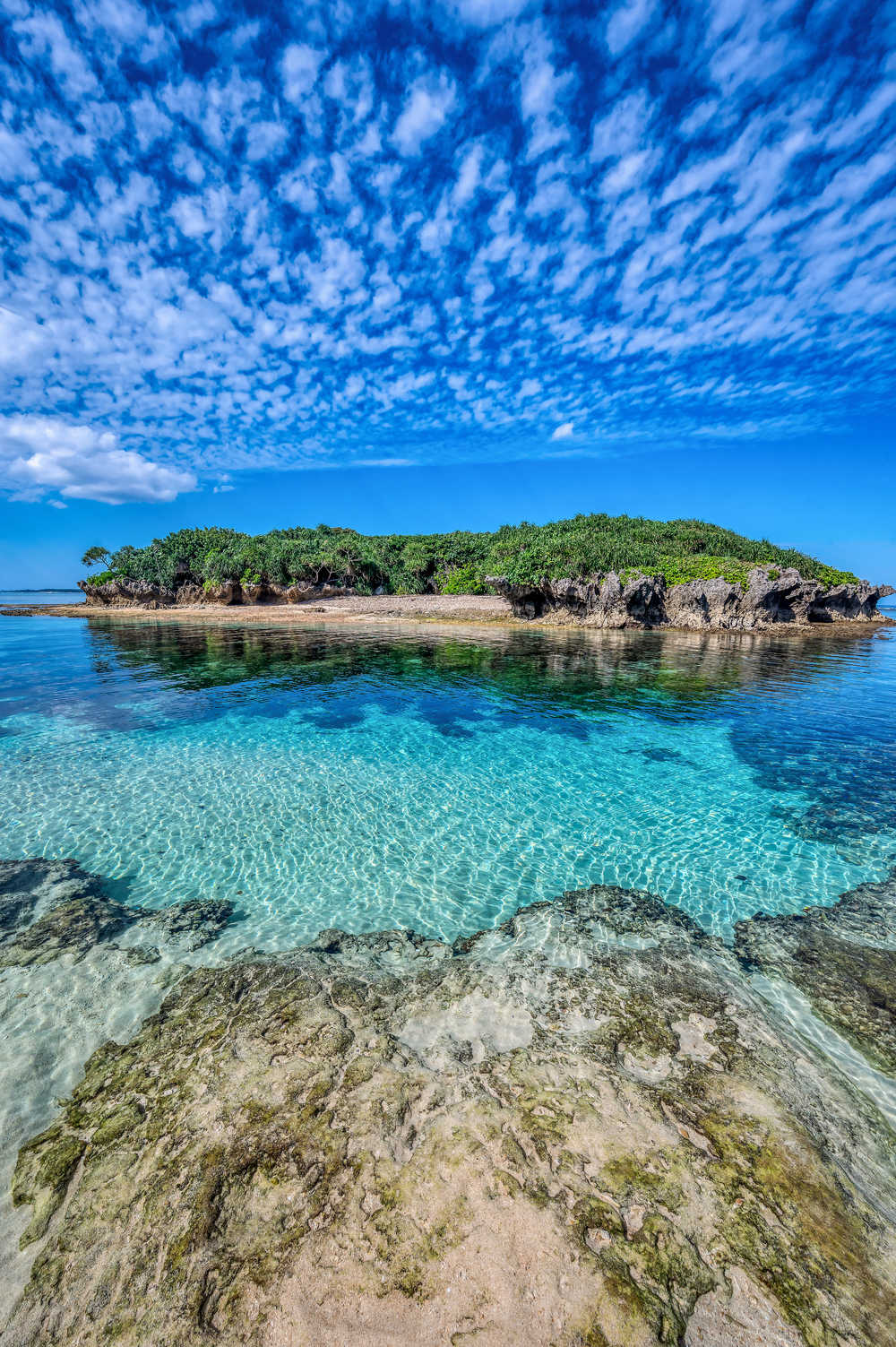 Okinawa Motobu