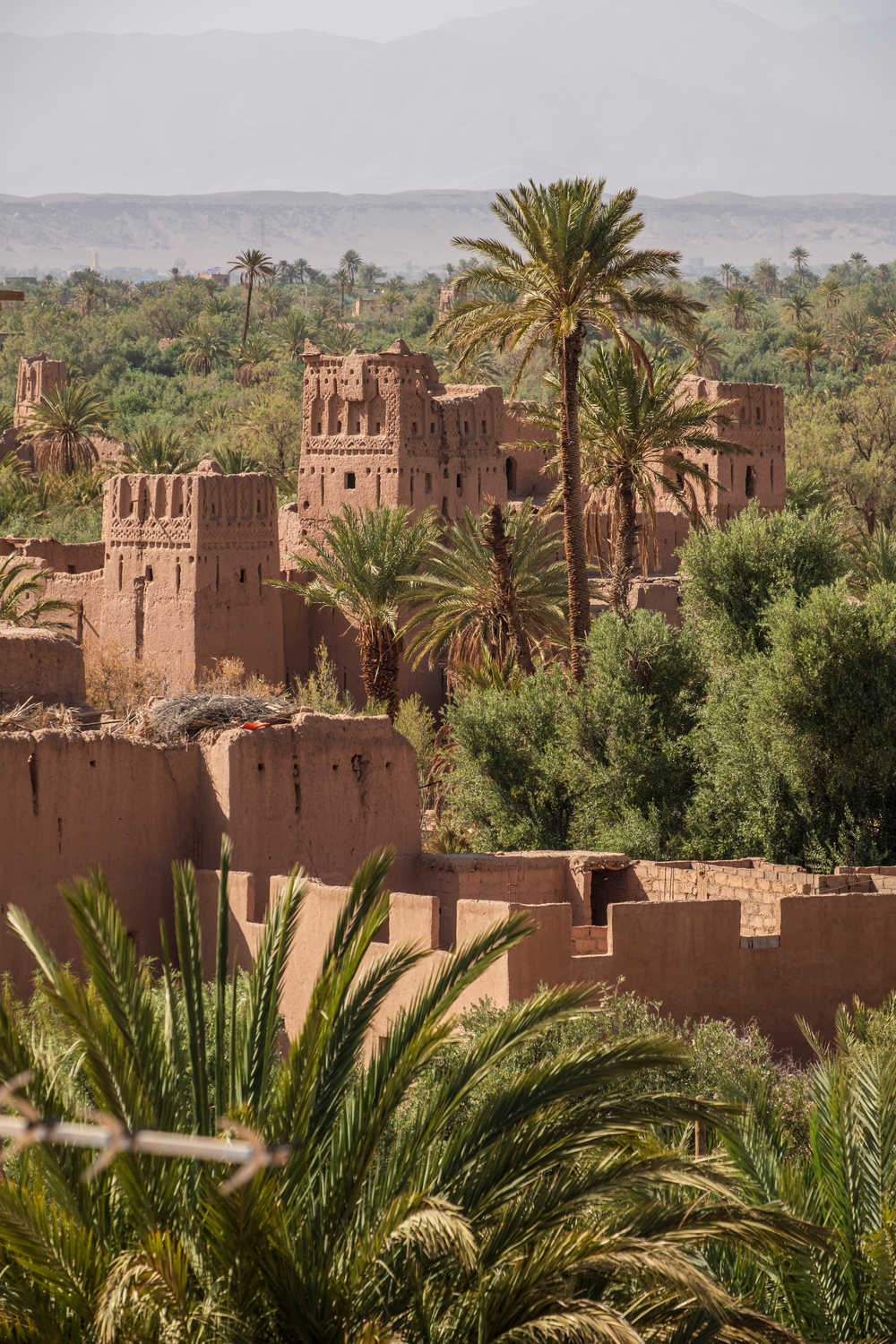 Palmeraie de Skoura au Maroc