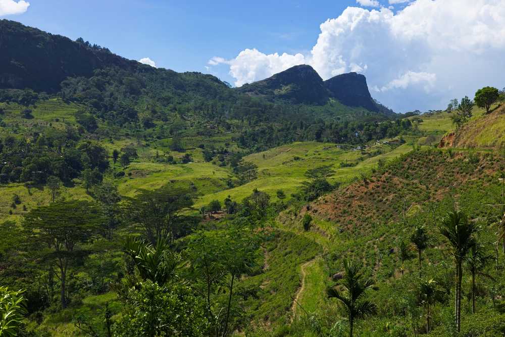 Panorama sur les vallées verdoyantes de la chaîne de montagnes Knuckles au Sri Lanka