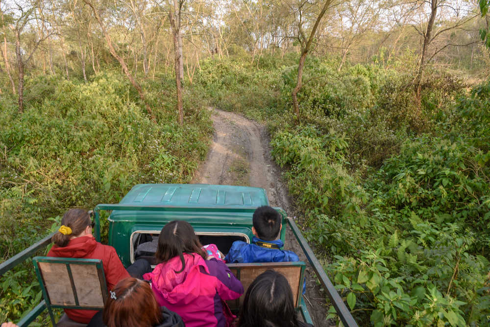 parc national de Chitwan safari