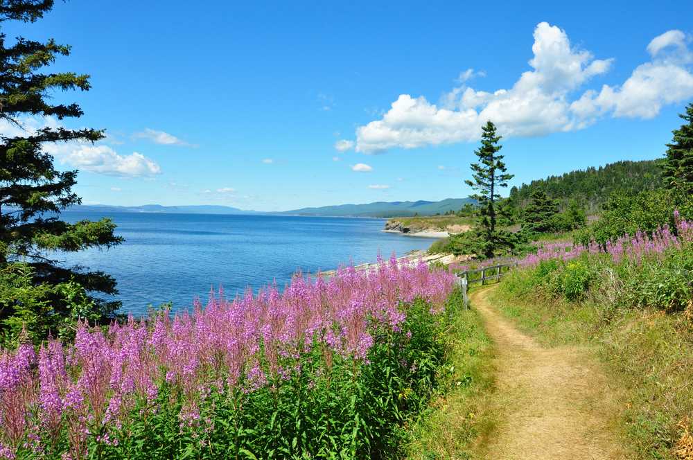 parc national de Forillon