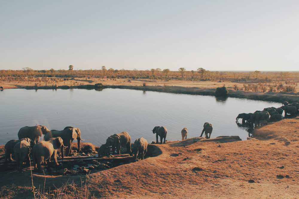 Parc National de Hwange
