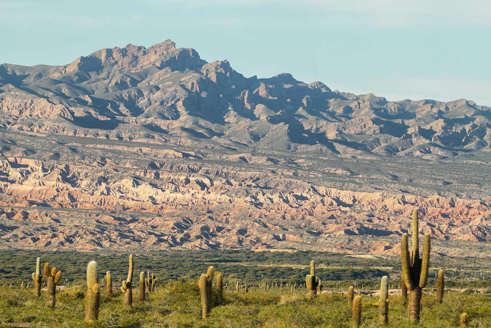 Parc-National-de-las-Cardones