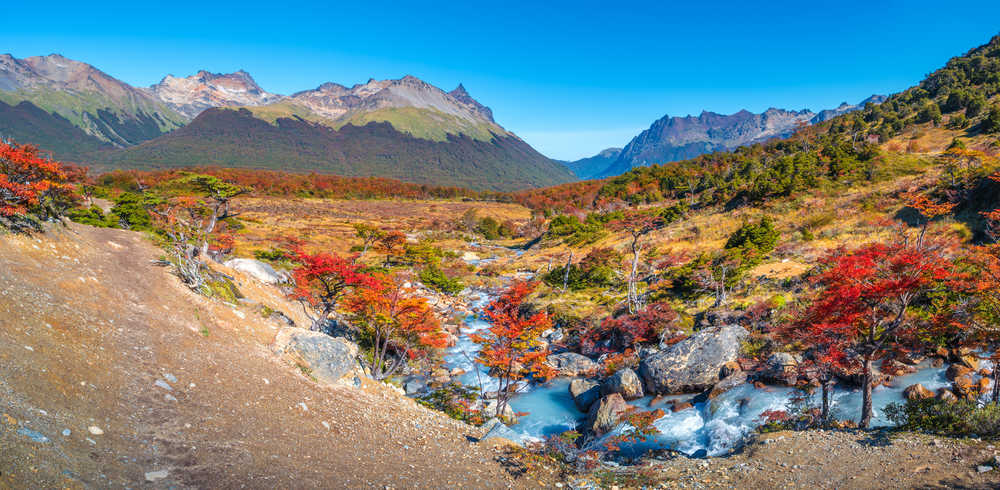 Parc-terre-de-feu-ushuaia