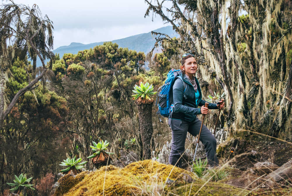 Partir faire l'ascension du Kilimandjaro