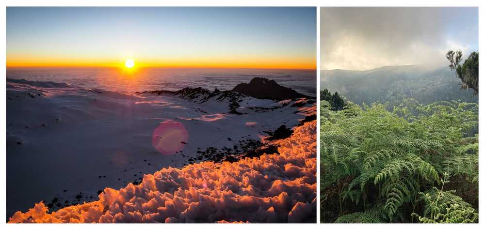 paysage-classe-UNESCO-kilimandjaro