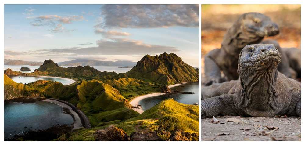 paysage-naturel-et-varan-de-komodo