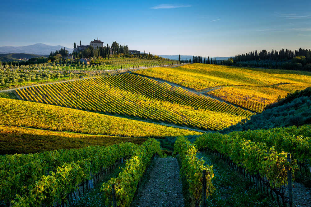 Paysage viticole de Radda in Chianti, Italie