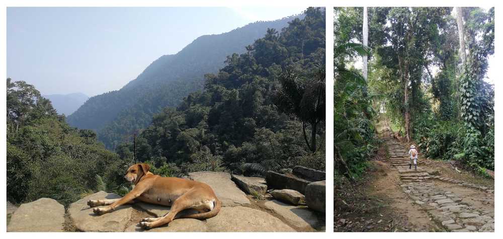 paysages-du-trek-de-la-ciudad-perdida-en-colombie