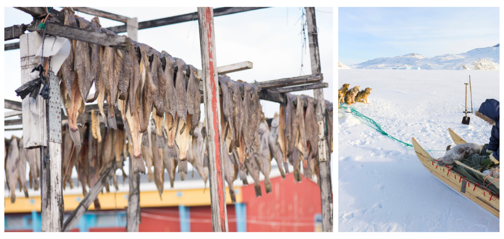 Pêche et chasse au Groenland pour blog