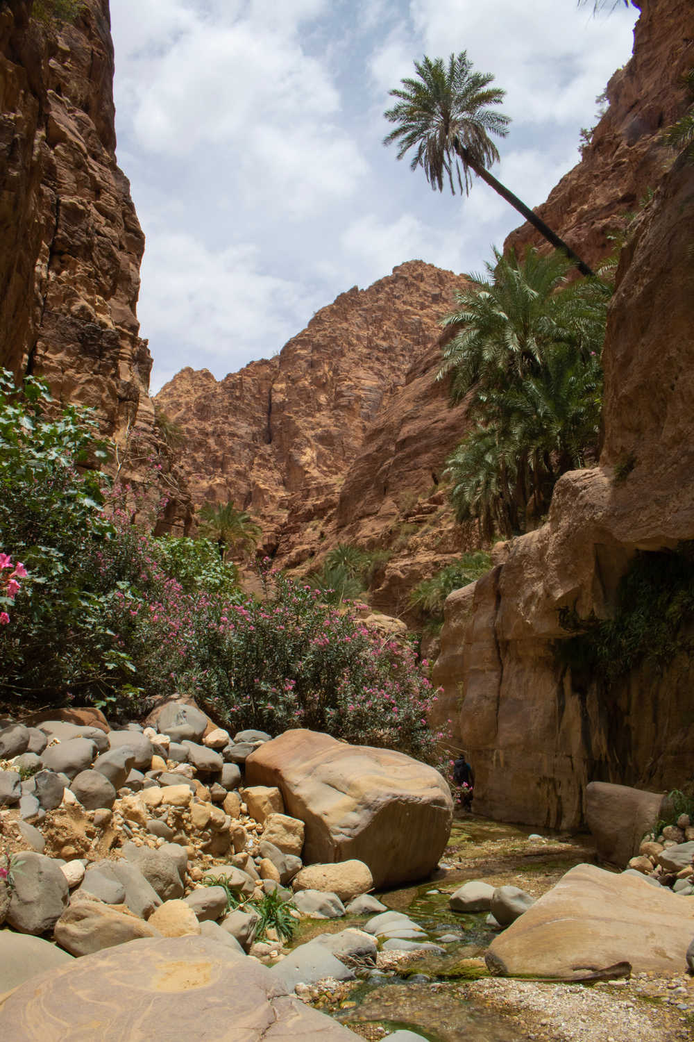 Petit canyon dans la réserve de Dana, Jordanie