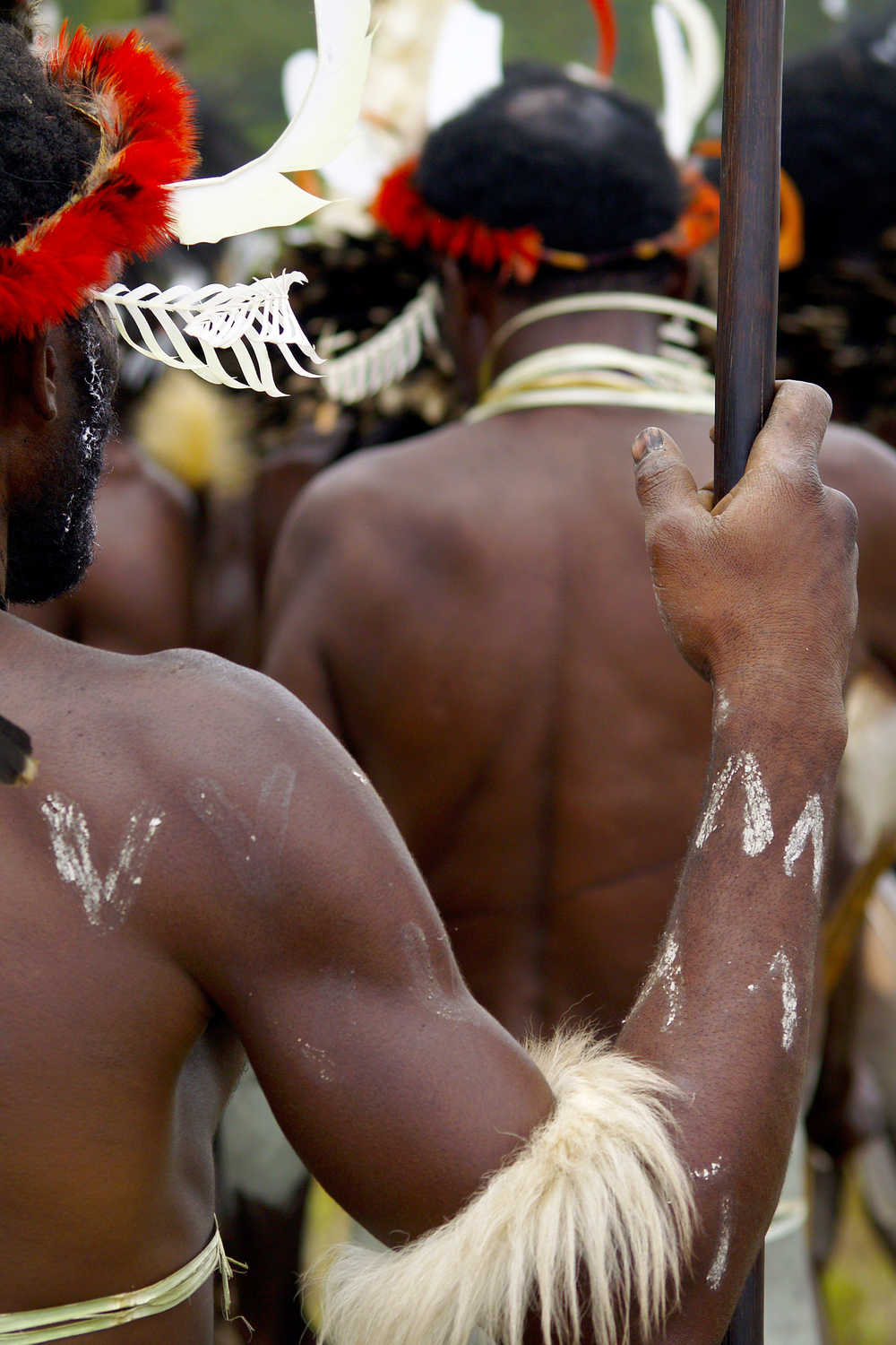 peuple dani lors du festival de la tribu à wamena-vallée de baliem-papouasie-indonésie