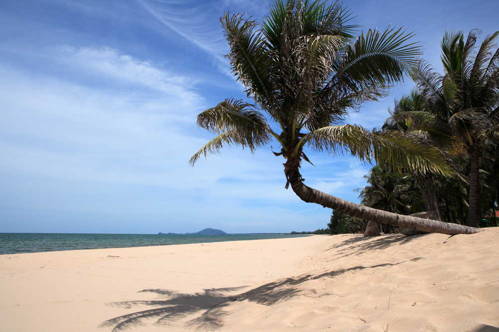 plage de cocotiers en Thaïlande