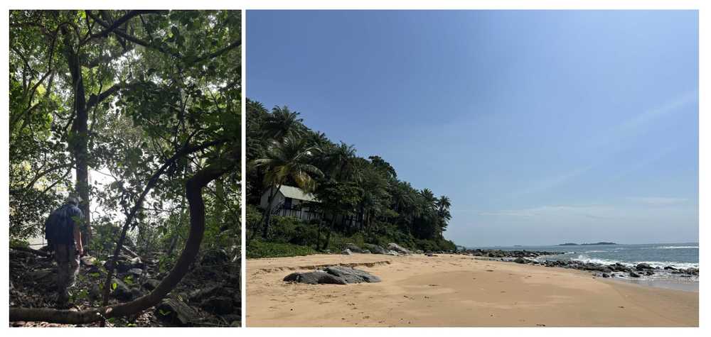 plage-et-jungle-en-guinee