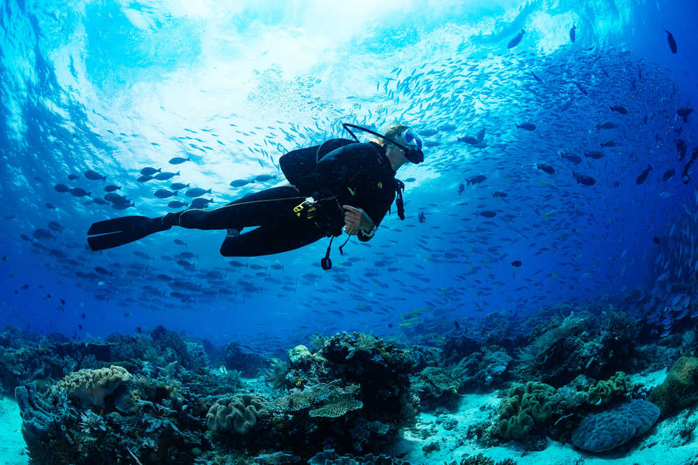 Plongée sous-marine, île de la Réunion