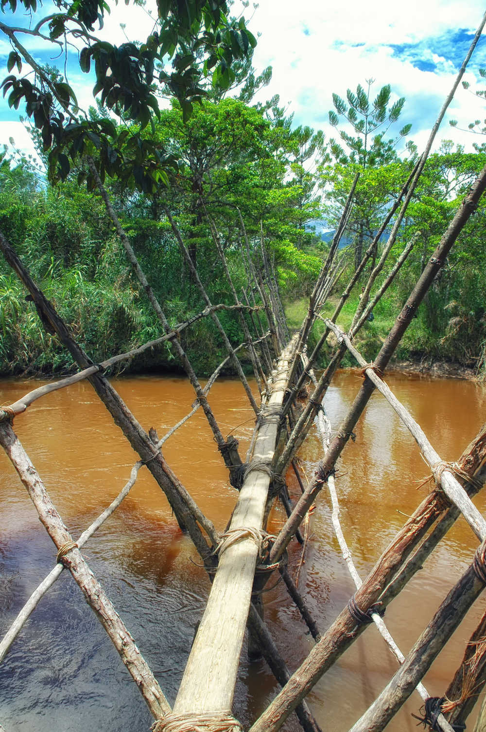 Pont en bois dans la vallée de Baliem, Papouasie, Indonésie