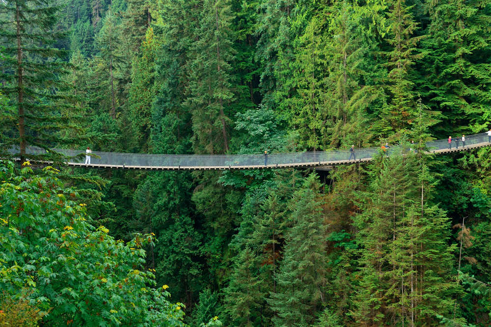 Pont suspendu  de Capilano Vancouver Canada