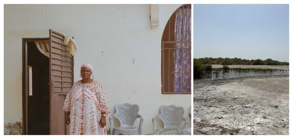 portrait-de-mariama-et-replantation-de-la-mangrove