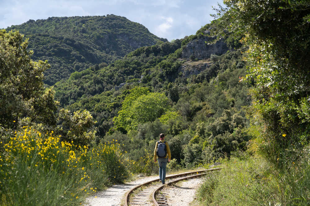 Randonnee dans la foret du Pelion en Grèce