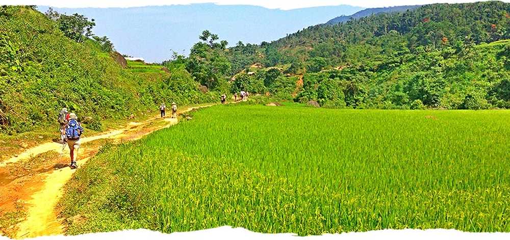 randonneurs dans des rizières au Vietnam