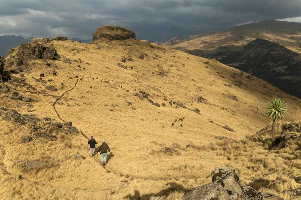 randonneurs dans la dépression du Danakil, montagnes d'Abyssinie en Ethiopie