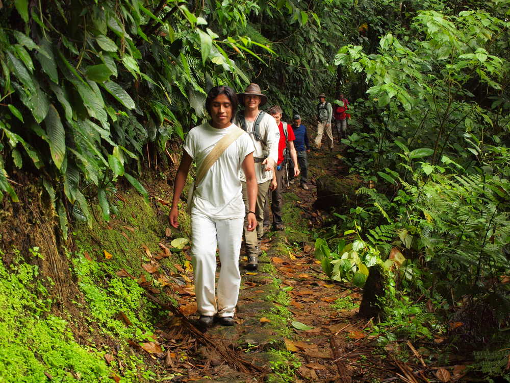 Randonneurs dans la forêt endémique colombienne