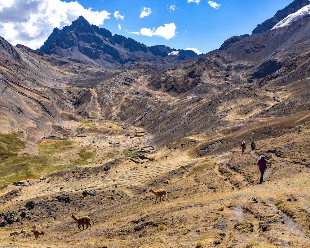 Randonneurs dans la région d'Anantapata au Pérou