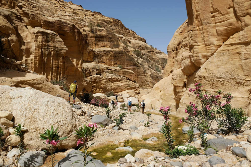 Randonneurs dans le Wadi Ghuweir en Jordanie