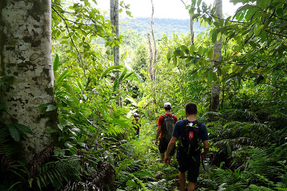 randonneurs en pleine exploration de la Papouasie en Indonésie