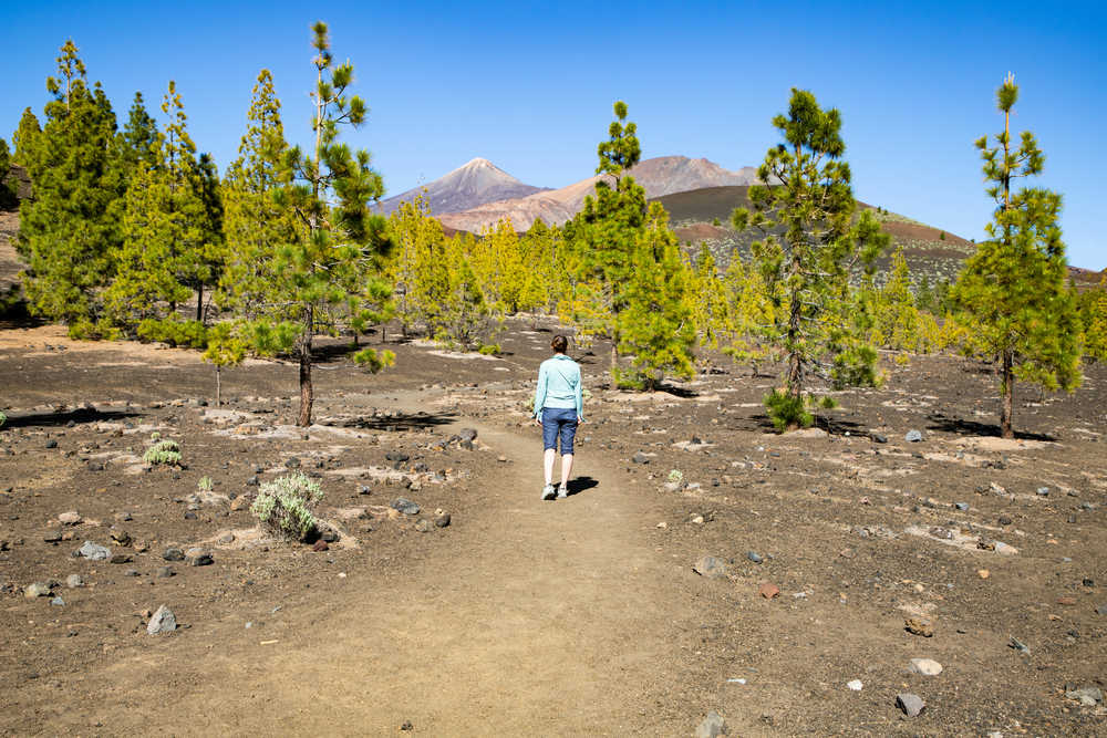 Randonneuse dans le Parc National du Volcan Teide à Tenerife aux Canaries