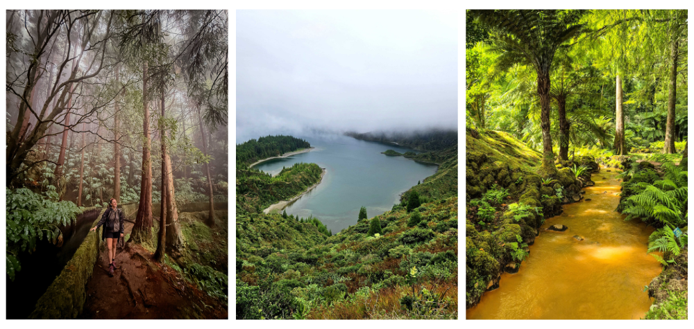 Randonneuse dans une forêt, lagoa do Fogo et parc de Terra Nostra aux Açores