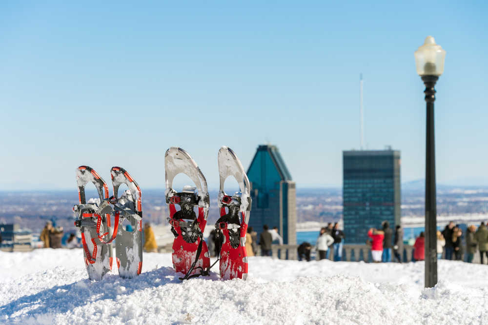 Raquettes plantées dans la neige au parc du Mont-Royal à Montréal au Québec