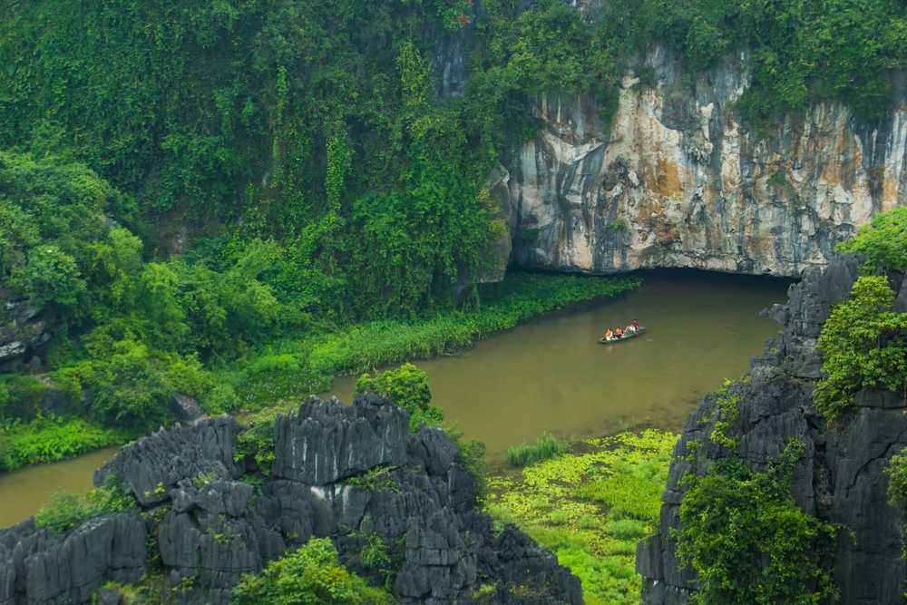 Rizière sur la rivière Ngo Dong à Tam Coc  province de Ninh Binh au Viet Nam