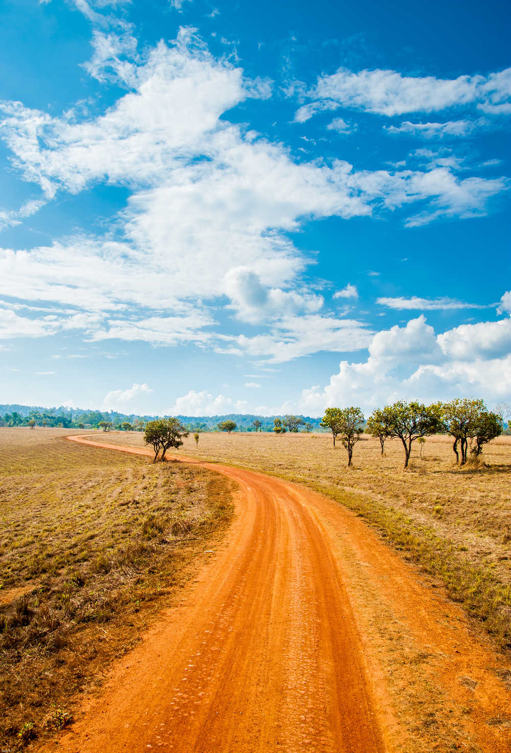 Route dans la savane africaine, Kenya